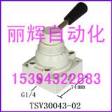 TSV30043-02ք(dng)y